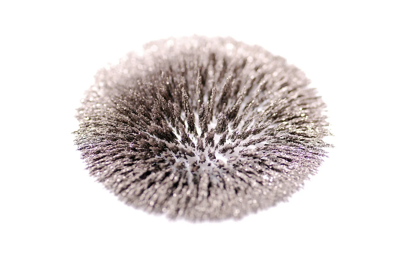 Iron filings shaped by a magnet